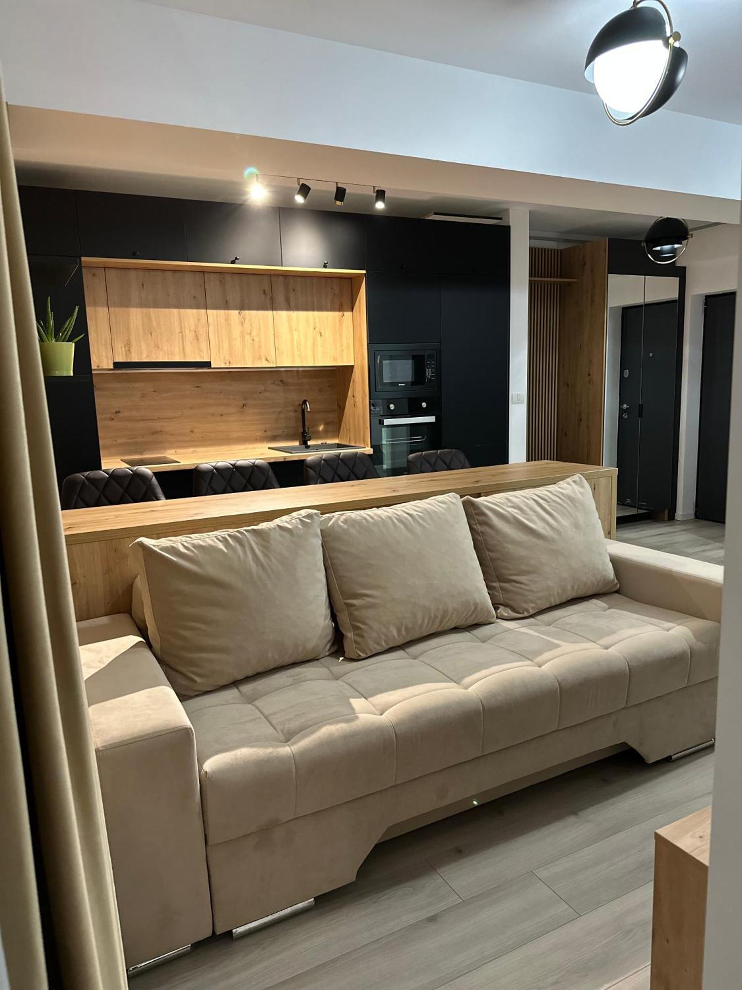 Q Business Apartment Timisoara Exterior foto